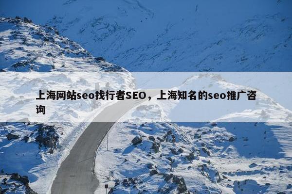 上海网站seo找行者SEO，上海知名的seo推广咨询
