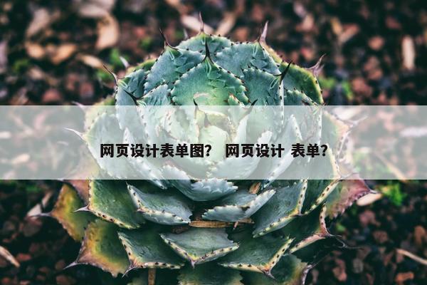 网页设计表单图？ 网页设计 表单？