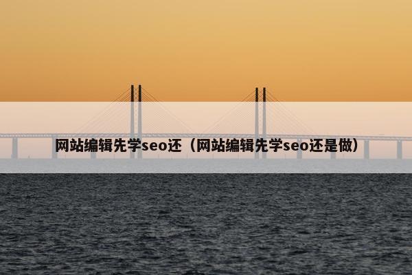网站编辑先学seo还（网站编辑先学seo还是做）