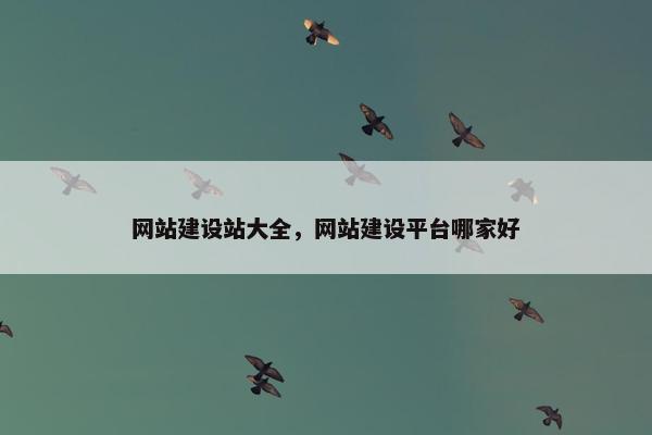 网站建设站大全，网站建设平台哪家好