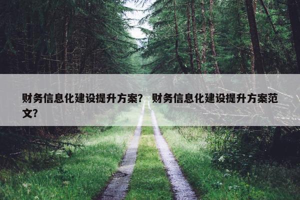 财务信息化建设提升方案？ 财务信息化建设提升方案范文？
