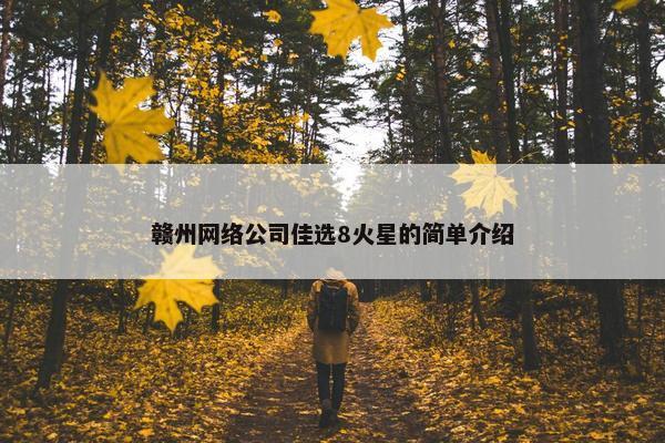 赣州网络公司佳选8火星的简单介绍