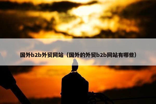 国外b2b外贸网站（国外的外贸b2b网站有哪些）