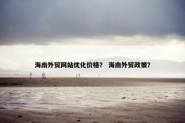 海南外贸网站优化价格？ 海南外贸政策？