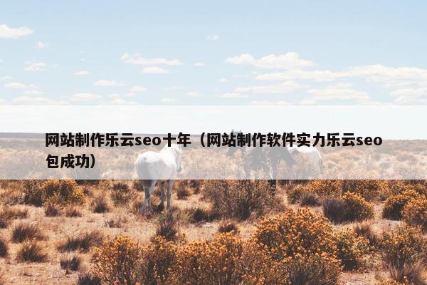 网站制作乐云seo十年（网站制作软件实力乐云seo包成功）