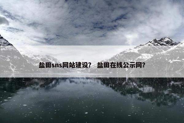 盐田sns网站建设？ 盐田在线公示网？