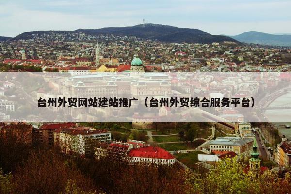 台州外贸网站建站推广（台州外贸综合服务平台）