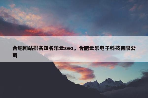 合肥网站排名知名乐云seo，合肥云乐电子科技有限公司