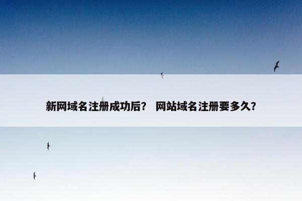 新网域名注册成功后？ 网站域名注册要多久？
