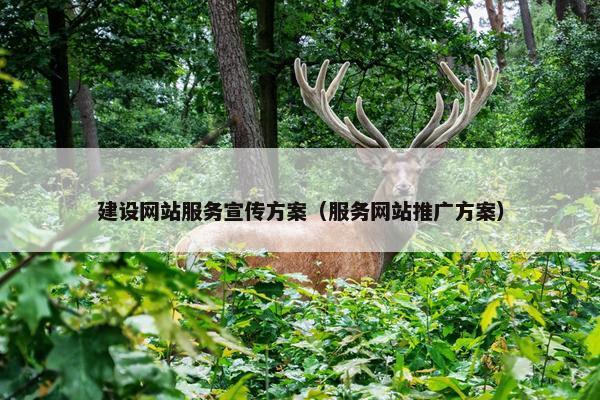 建设网站服务宣传方案（服务网站推广方案）