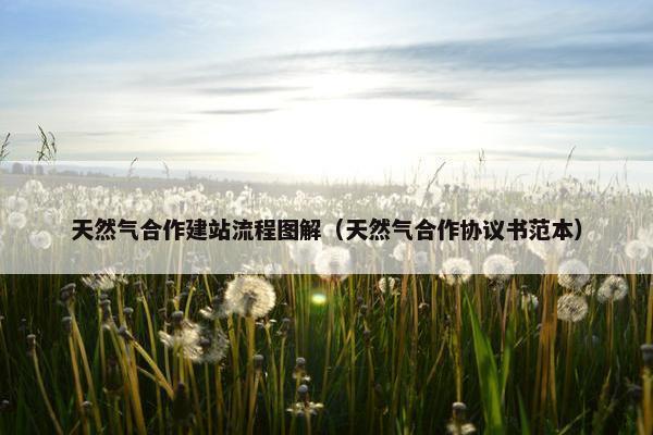 天然气合作建站流程图解（天然气合作协议书范本）