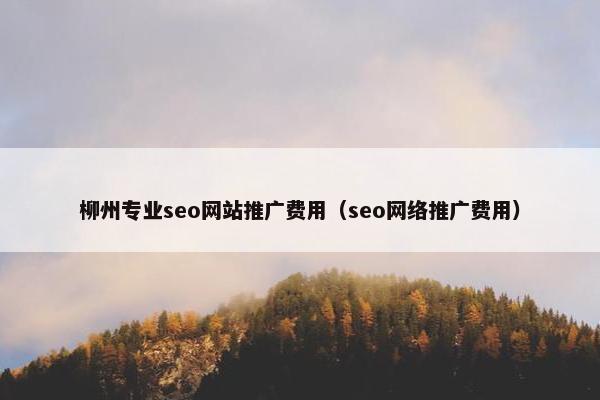 柳州专业seo网站推广费用（seo网络推广费用）