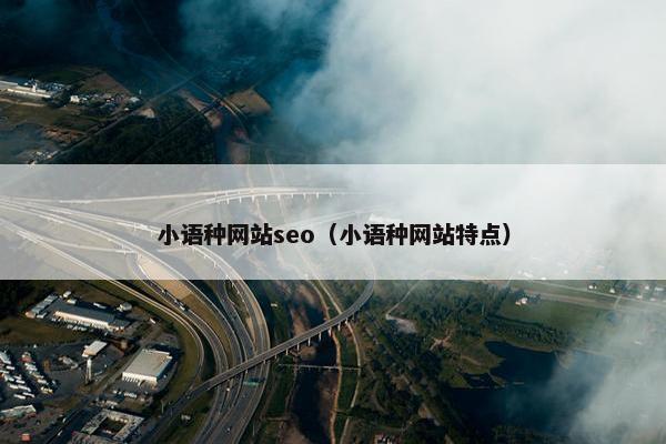 小语种网站seo（小语种网站特点）