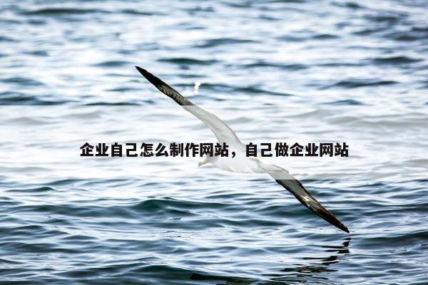 企业自己怎么制作网站，自己做企业网站