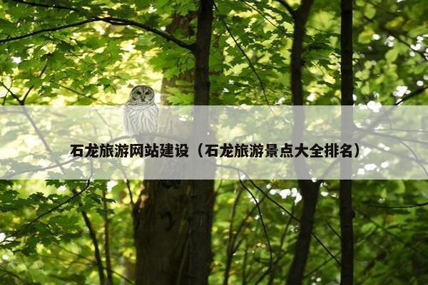石龙旅游网站建设（石龙旅游景点大全排名）