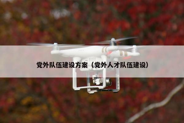 党外队伍建设方案（党外人才队伍建设）