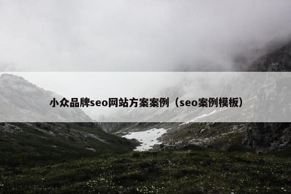 小众品牌seo网站方案案例（seo案例模板）