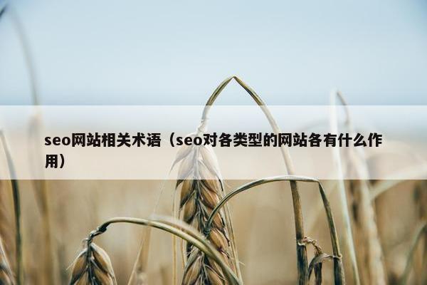 seo网站相关术语（seo对各类型的网站各有什么作用）
