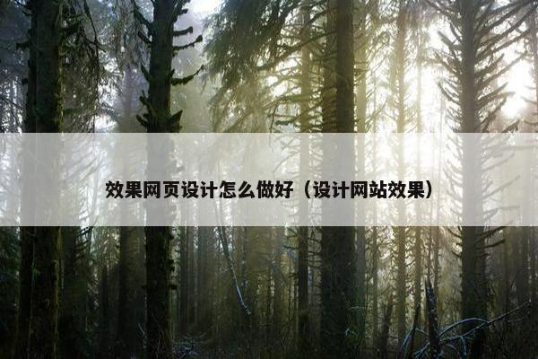 效果网页设计怎么做好（设计网站效果）