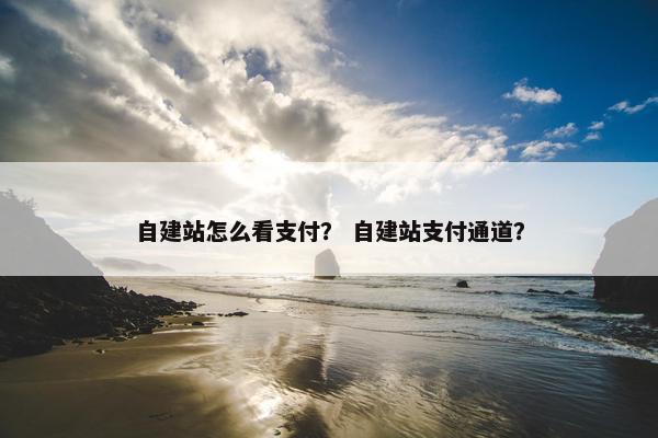 自建站怎么看支付？ 自建站支付通道？