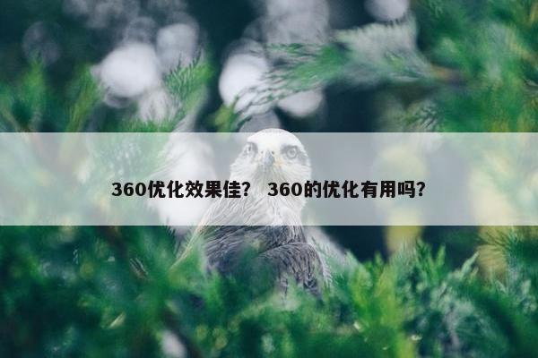 360优化效果佳？ 360的优化有用吗？