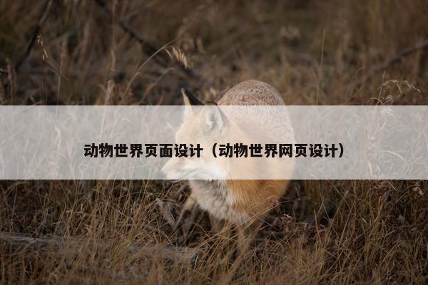 动物世界页面设计（动物世界网页设计）