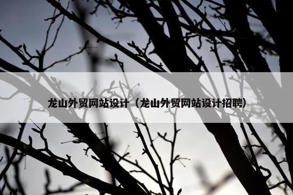 龙山外贸网站设计（龙山外贸网站设计招聘）