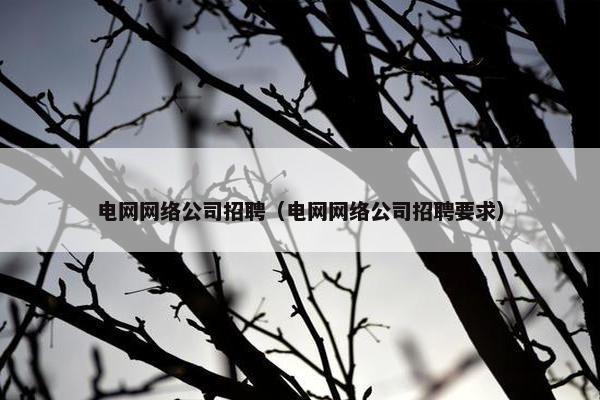 电网网络公司招聘（电网网络公司招聘要求）