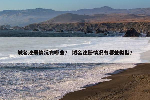 域名注册情况有哪些？ 域名注册情况有哪些类型？