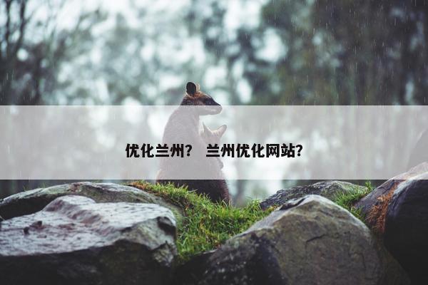 优化兰州？ 兰州优化网站？
