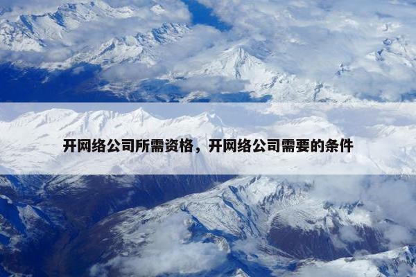 开网络公司所需资格，开网络公司需要的条件