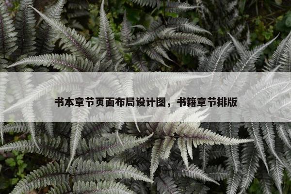 书本章节页面布局设计图，书籍章节排版