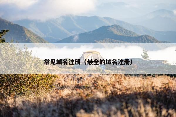 常见域名注册（最全的域名注册）