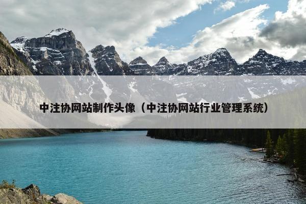 中注协网站制作头像（中注协网站行业管理系统）
