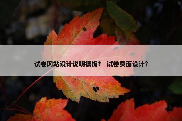 试卷网站设计说明模板？ 试卷页面设计？