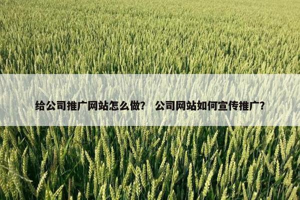 给公司推广网站怎么做？ 公司网站如何宣传推广？