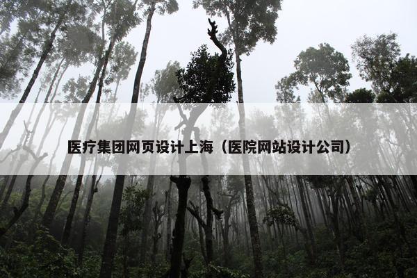 医疗集团网页设计上海（医院网站设计公司）