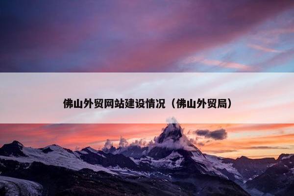 佛山外贸网站建设情况（佛山外贸局）