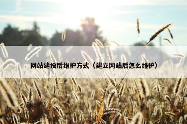 网站建设后维护方式（建立网站后怎么维护）