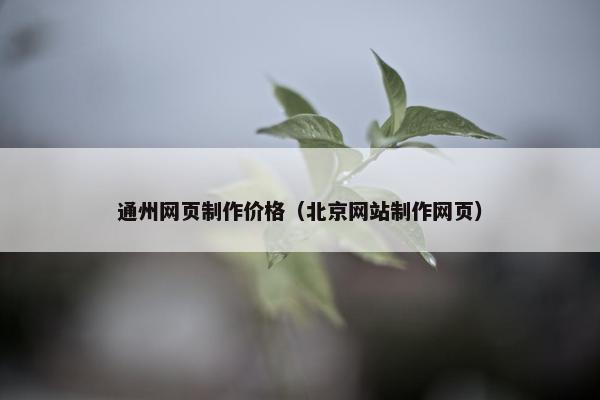 通州网页制作价格（北京网站制作网页）