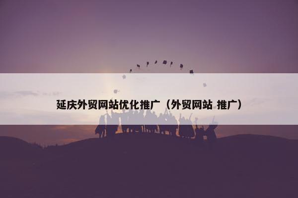 延庆外贸网站优化推广（外贸网站 推广）