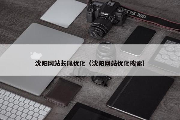 沈阳网站长尾优化（沈阳网站优化搜索）