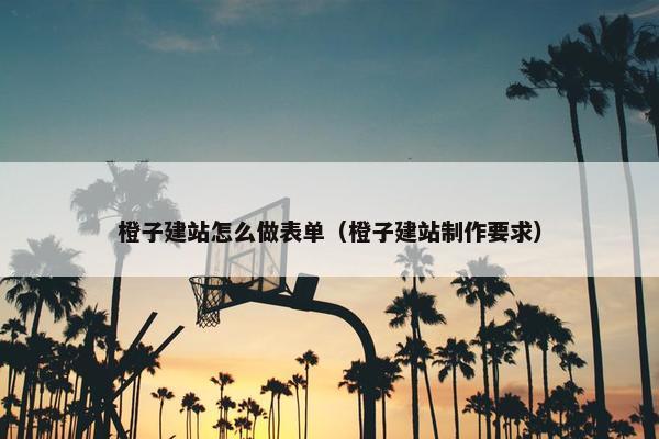 橙子建站怎么做表单（橙子建站制作要求）