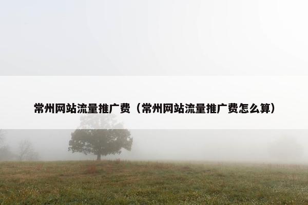 常州网站流量推广费（常州网站流量推广费怎么算）