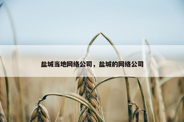 盐城当地网络公司，盐城的网络公司