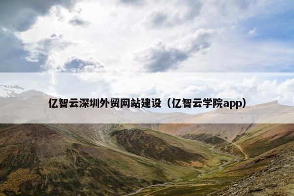 亿智云深圳外贸网站建设（亿智云学院app）