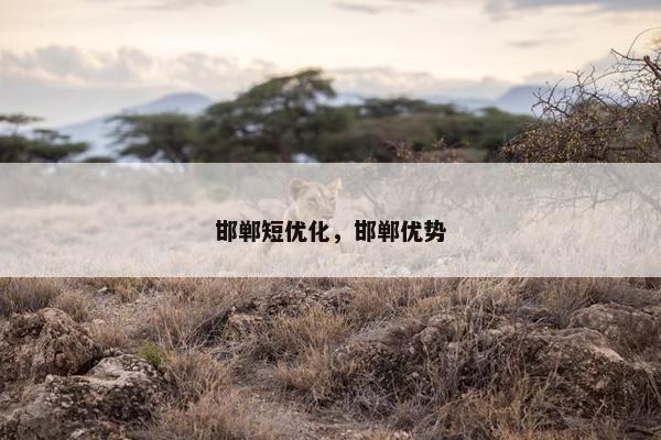 邯郸短优化，邯郸优势