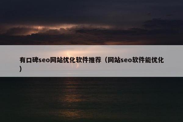 有口碑seo网站优化软件推荐（网站seo软件能优化）