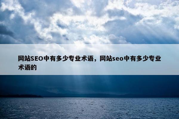 网站SEO中有多少专业术语，网站seo中有多少专业术语的
