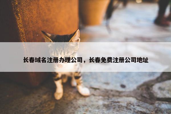 长春域名注册办理公司，长春免费注册公司地址